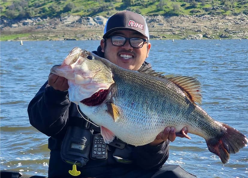 California Mega Bass Record Questioned Due to Technicality