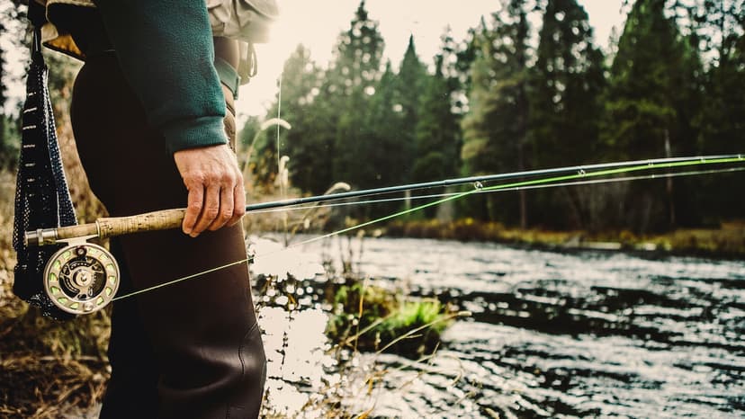 Sporting goods supplier to 20,000 retailers enters bankruptcy after 71 years