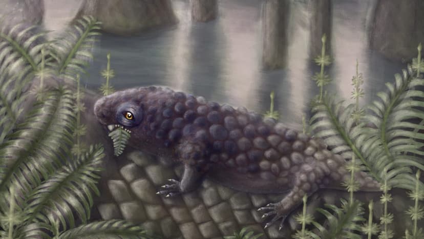 Ancient Creature Discovered as Inventor of Salads