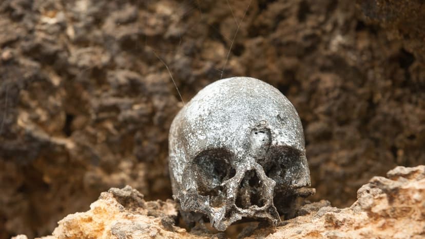 Archaeology Students Unearth Mass Viking Grave with Giant Remains