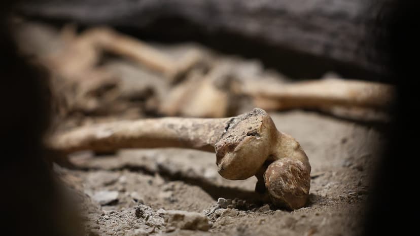 Scientists Uncover Horrifying Conclusion from 41,000-Year-Old Neanderthal Bones