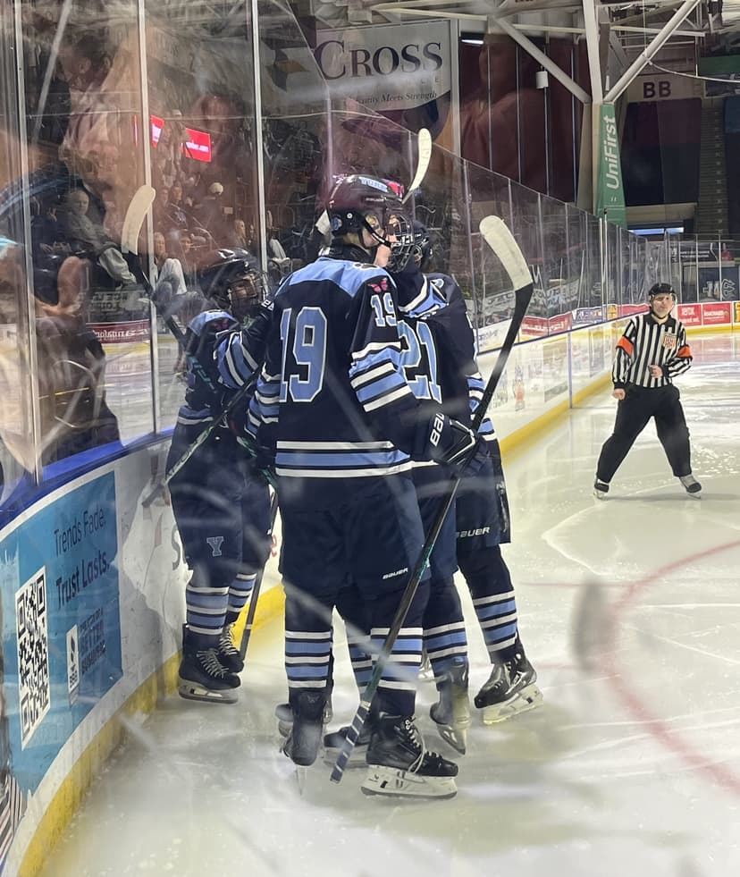 York boys hockey wins Class B South title. What's next for Wildcats?