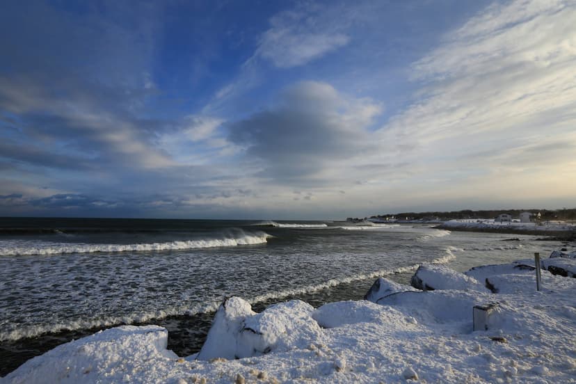 Warming Gulf of Maine Reshapes York