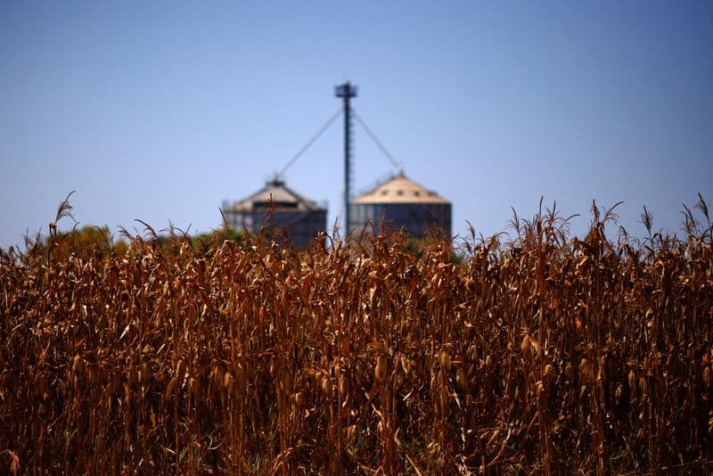 Expanding Iran conflict threatens Brazil grain exports, fertilizer supplies
