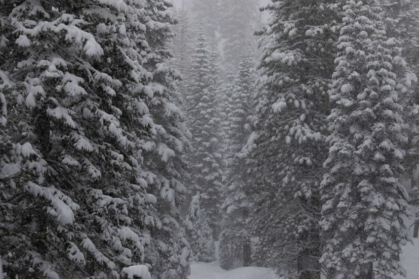 Skiers in Deadly Tahoe Avalanche Took Most Dangerous Route
