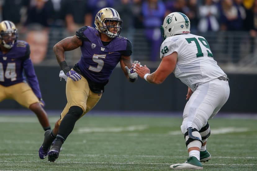 Monday Dots: Dawg Days