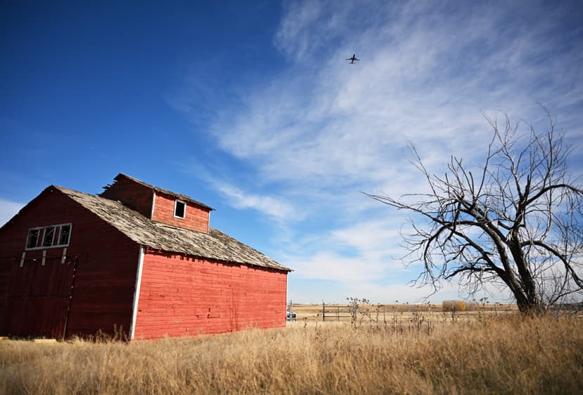 Texas A&M News Roundup: The Link Farm
