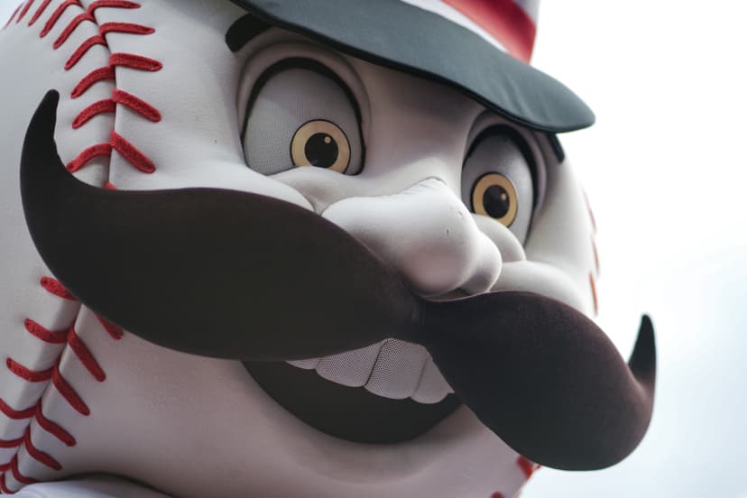 Cincinnati Reds System's #20 Prospect Revealed in Community Rankings