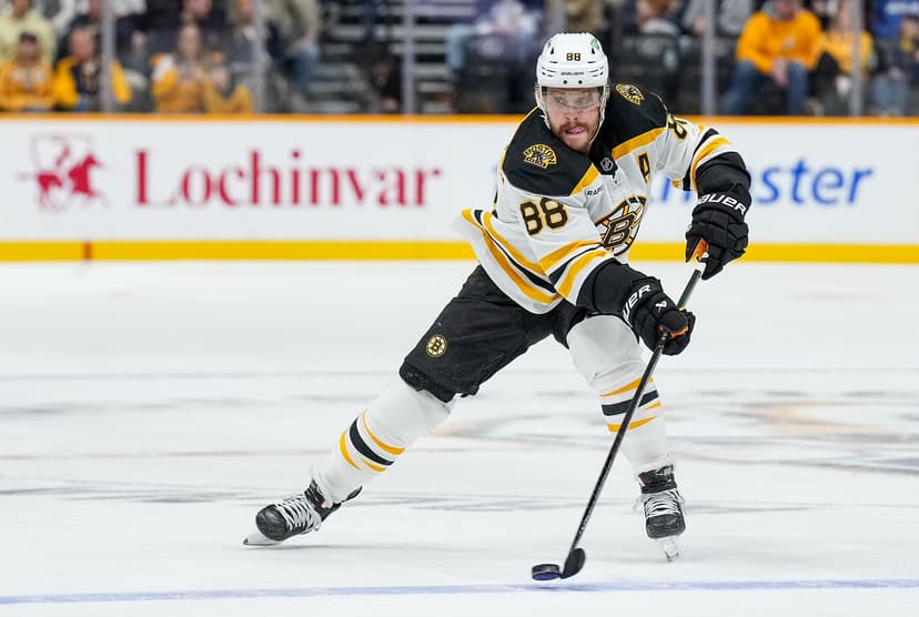 Public Skate: Bruins vs. Predators