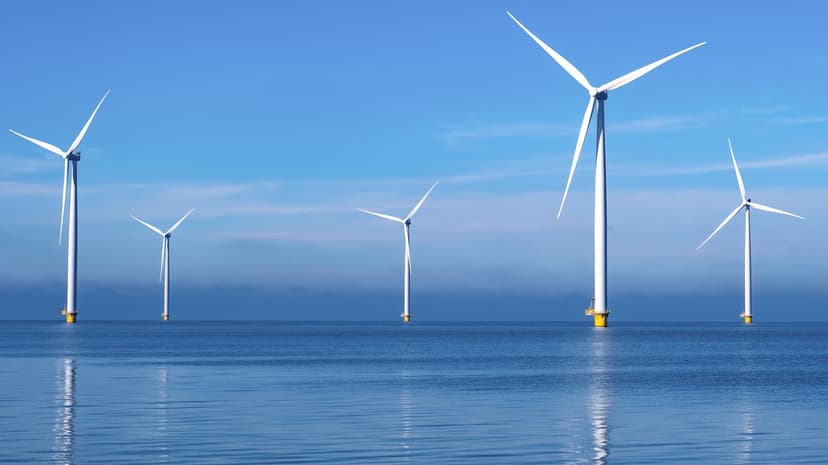Netherlands' Offshore Wind Farms Expand Beyond Electricity Generation