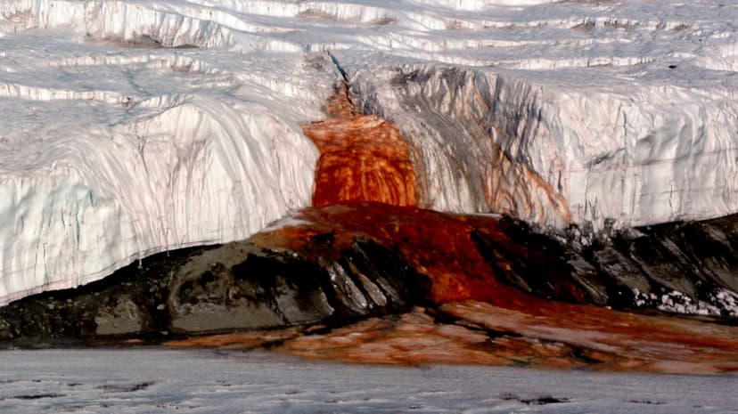 Scientists Explain Antarctic Blood Falls Phenomenon