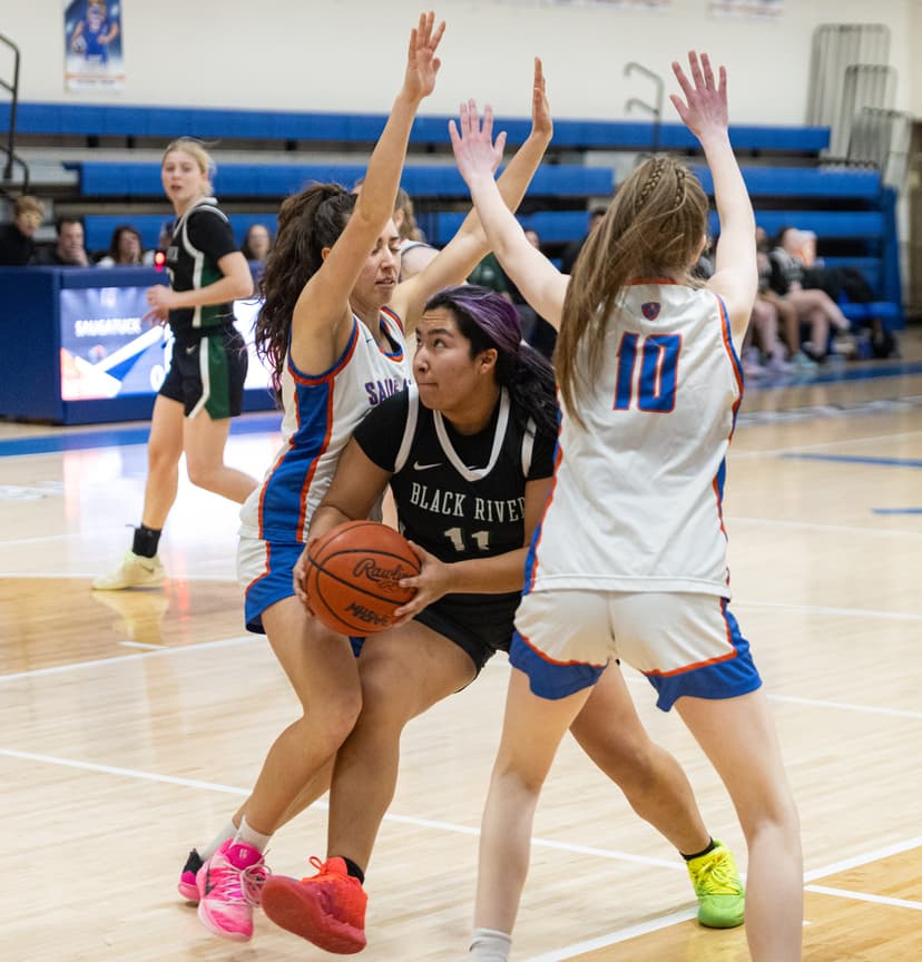 Black River, Zeeland East, Hamilton advance in girls district basketball tourneys