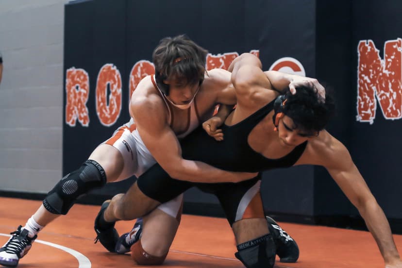 Roundup of Monroe County Region wrestling teams in state quarterfinals