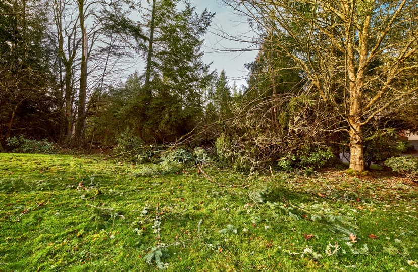'Unhinged' neighbor destroys homeowner's yard then lies to the cops: 'Get an attorney'