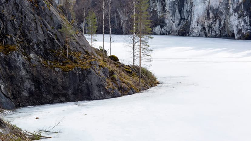 Scientists Issue Warning After Grim Arctic Discovery