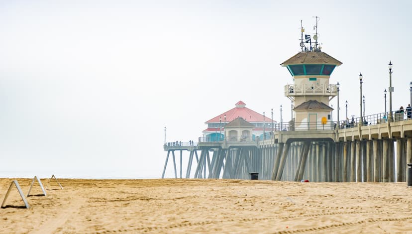 Officials Warn of Wild Predators Encroaching on US Neighborhoods