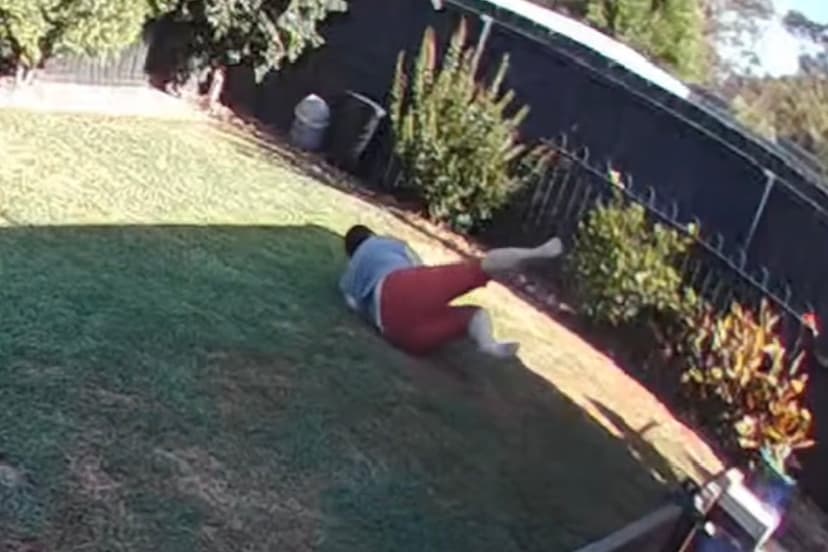 Woman Attacked by Venomous Snake in Surveillance Video