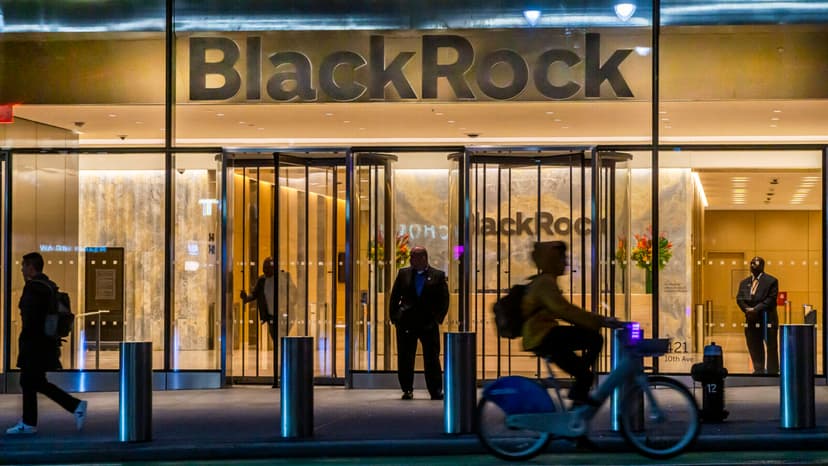 BlackRock’s Writedown of Small Loan Fuels Private Credit Alarm