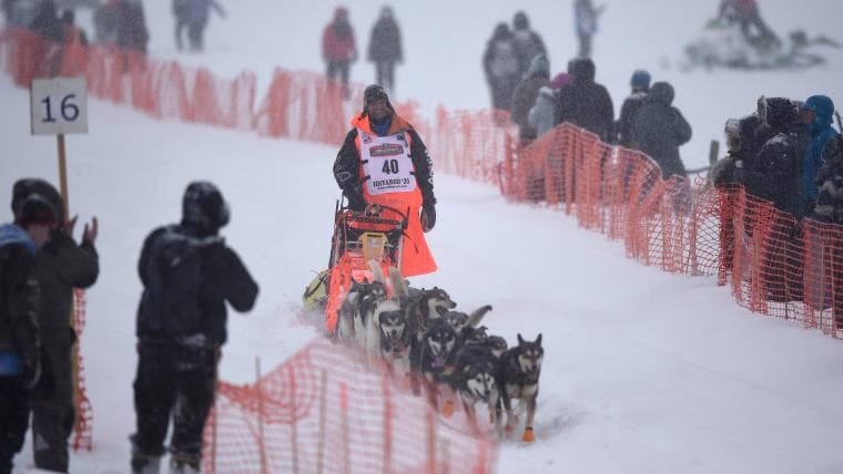 Iditarod standings 2026: Updated results, current leaderboard for Alaska dog sled race