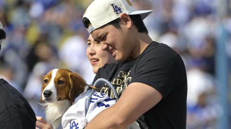 Shohei Ohtani's Dog Decoy Outshines Colorado Rockies