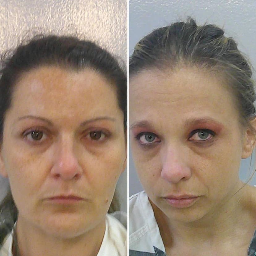 Texas Women Allegedly Use Drone Disguised as Bird to Smuggle Contraband into Federal Prison