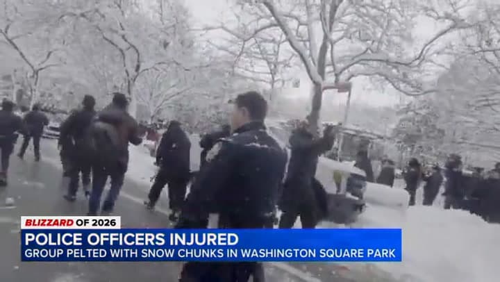 Police Officers Injured After Being Pelted With Snowballs in NYC Park