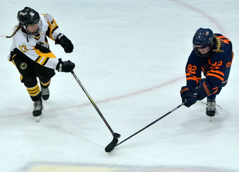 Sioux Falls, Brookings to meet again for varsity girls state hockey title