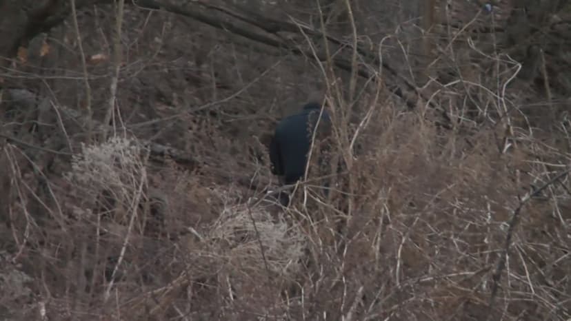 Body found in woods in Luzerne County