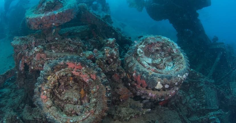 US Troops Dumped WWII Surplus into Ocean After Allies Refused to Buy