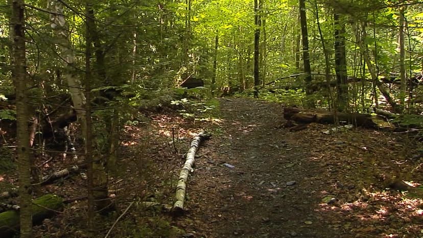 Vermont Supreme Court Rules Towns Can Maintain Trails on Private Land