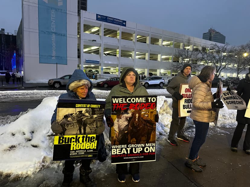 Worcester Rodeo Draws Crowds and Animal Cruelty Protests