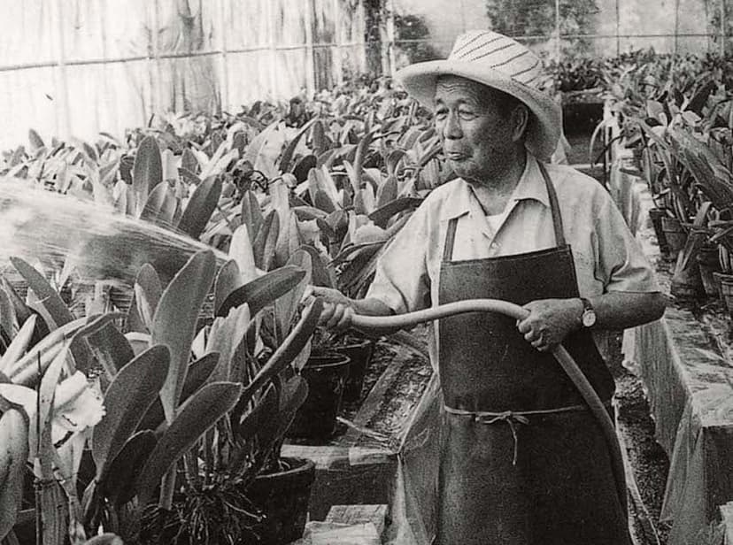 When CDMX turns purple: Get the best views of the capital’s jacaranda spring super-bloom at these key spots