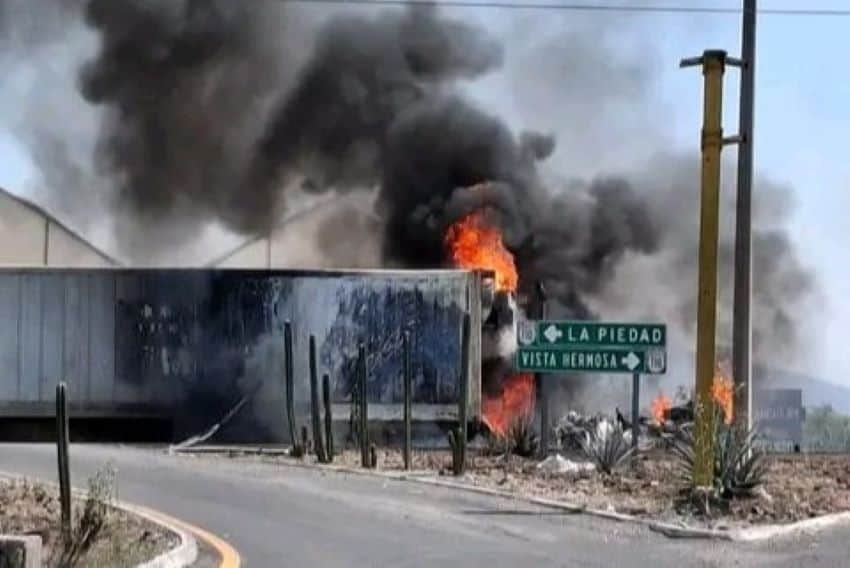 Cartel Economics Threaten Monarch Butterfly Migration in Mexico