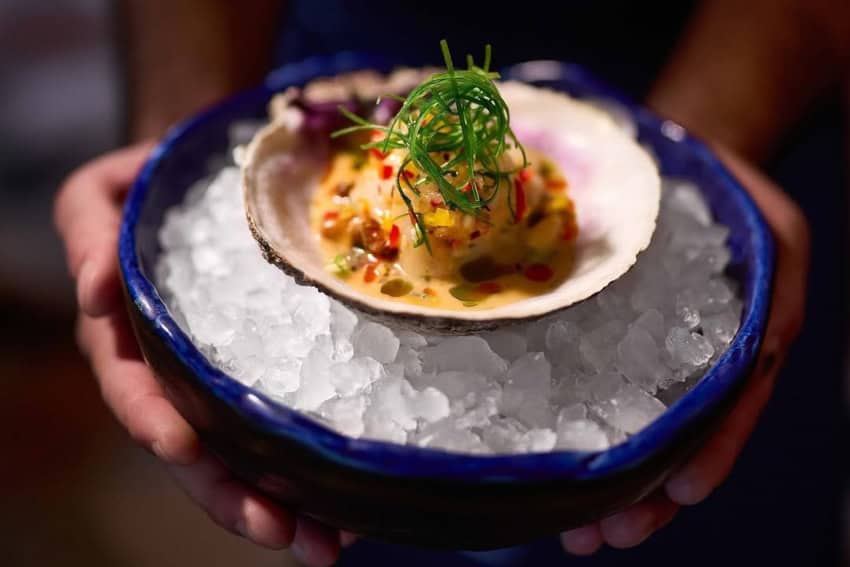 Cayao Restaurant Expands Pacific Horizons of Los Cabos Cuisine
