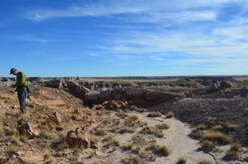 Climate Change Exacerbates Heat and Drought in US-Mexico Borderlands