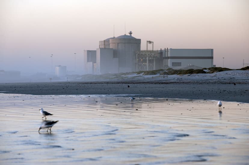 ‘Zombie’ nuclear project: Nuclear-1  environmental authorisation faces legal battle