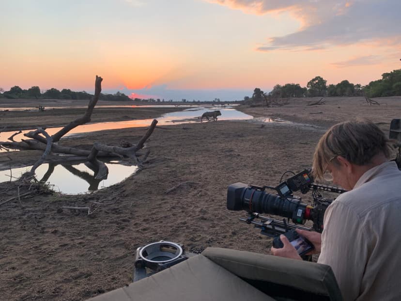 1,400 Days in the wild: Inside the intimate drama of Zambia’s predator kingdom