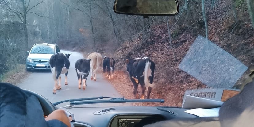 Mitovski: AHV Accusations Against Municipality Legally Unfounded