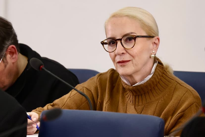 SDP in Sarajevo Canton demands accountability from Sebija Izetbegović