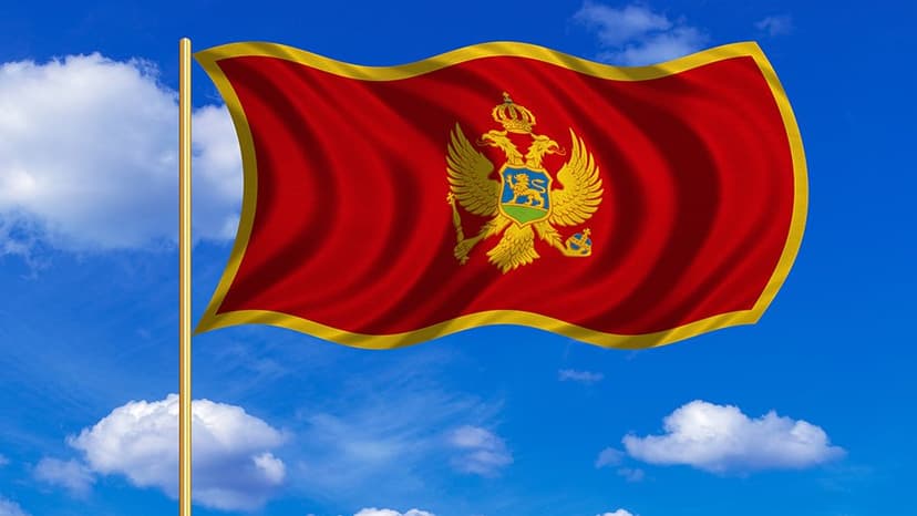 Ministry of Foreign Affairs of Montenegro: 93 citizens requested assistance with returning from the Middle East