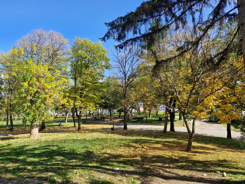 Weather Forecast: Sunny and Warm in Serbia, Windy in Košava Region