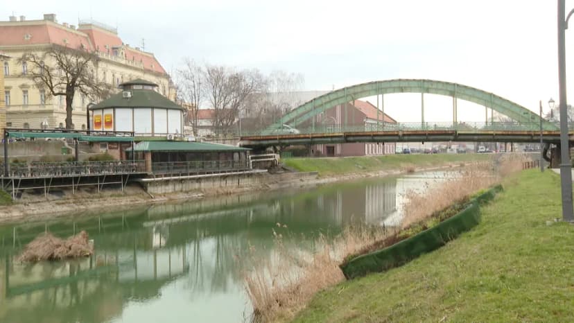 Roma for Democracy Foundation Calls for 'Manuel's Law'