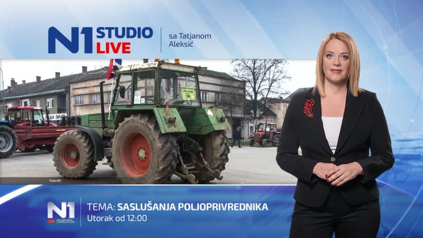 Serbian activist Zlatko Kokanović detained for attacking officials