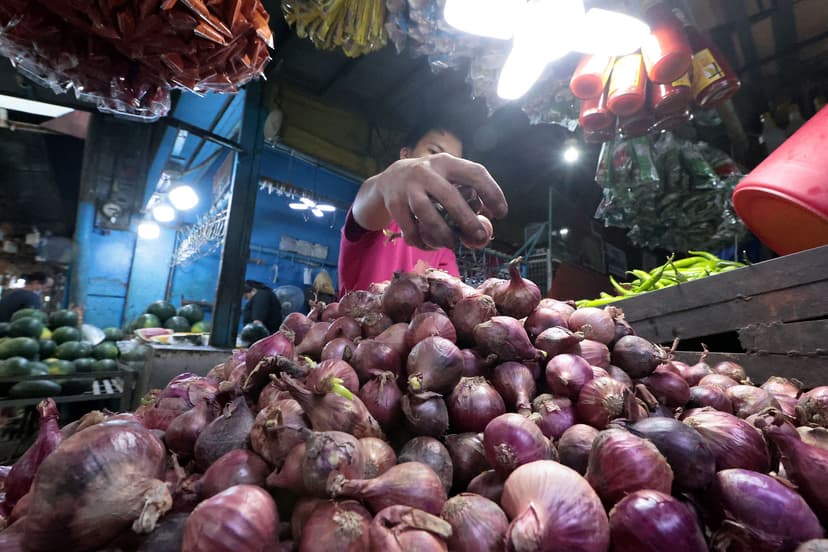 Philippines to stock onions to prevent price collapse