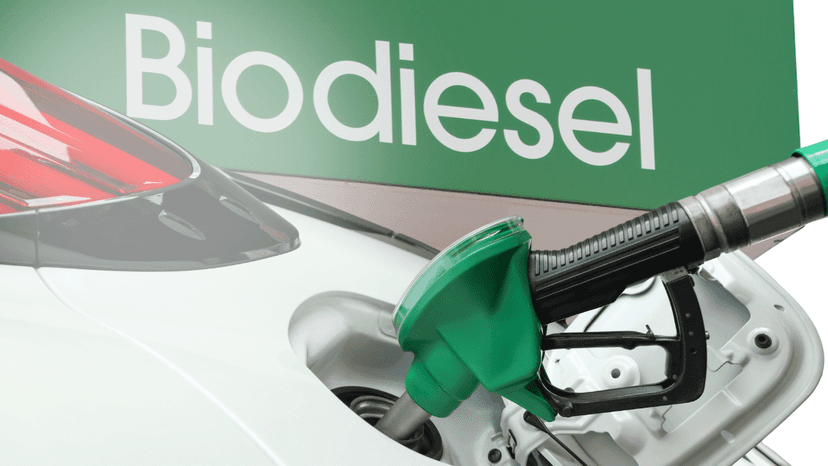 Higher biodiesel blend of 7% pushed to ease oil price crunch in Philippines