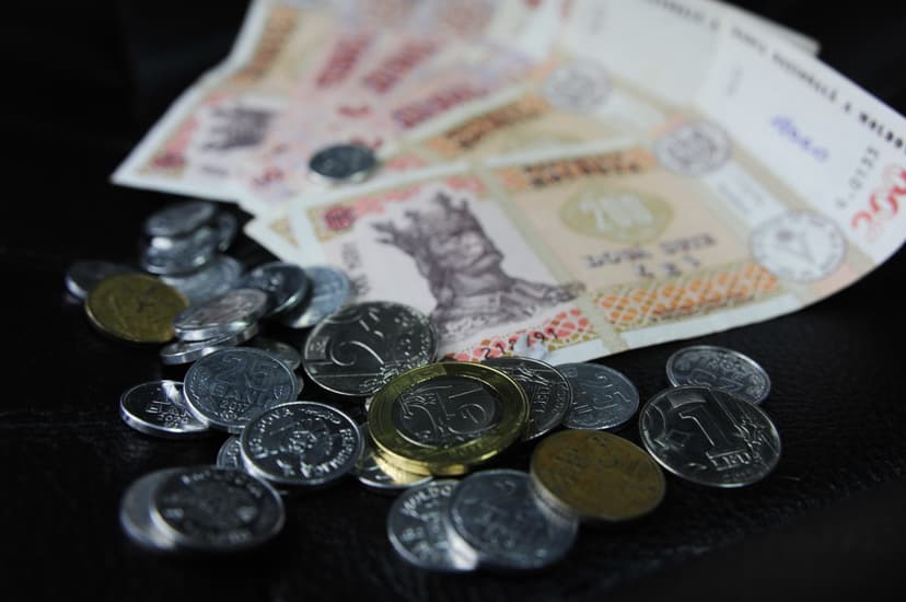 Moldovan Government Allocates 56.4 Million Lei for International Organization Memberships