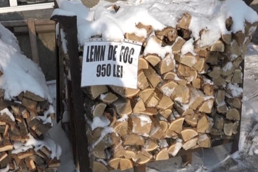 Moldova Considers Unifying Firewood Prices