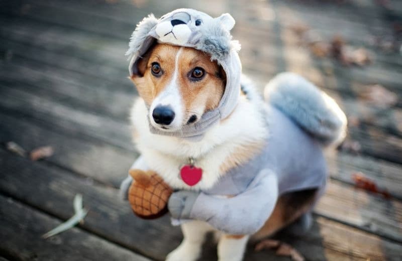 Moldova's March Weather Forecast: Mild Temperatures and Below-Normal Precipitation