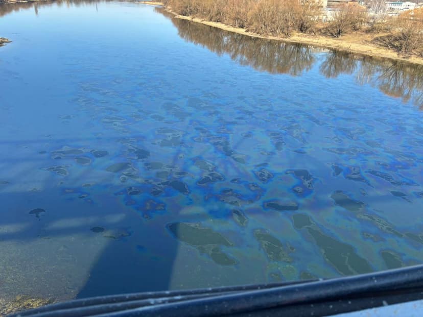 Moldova Investigates Oily Sheen on Dniester River, Requests Information from Ukraine