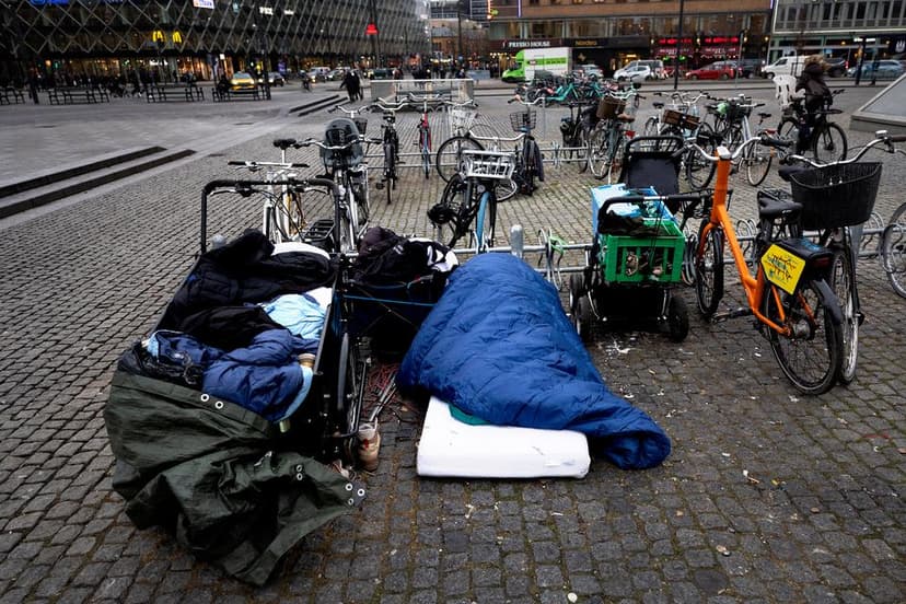 Danish Moderates' Spokesperson Admits Insufficient Aid for Homeless